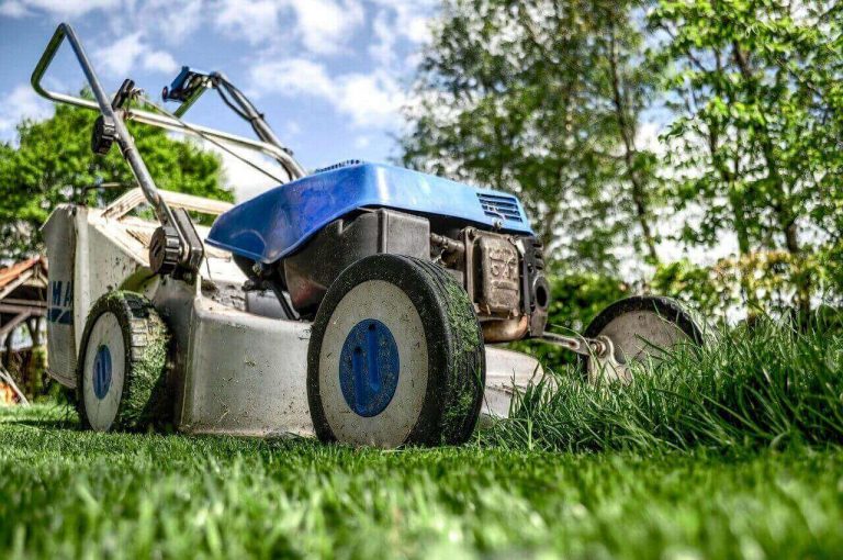 How To Kill Your Grass? Kill Unwanted Grass In Your Yard