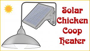 Solar Chicken Coop Heater: Best Solar Heat Lamp for Chicken Coop