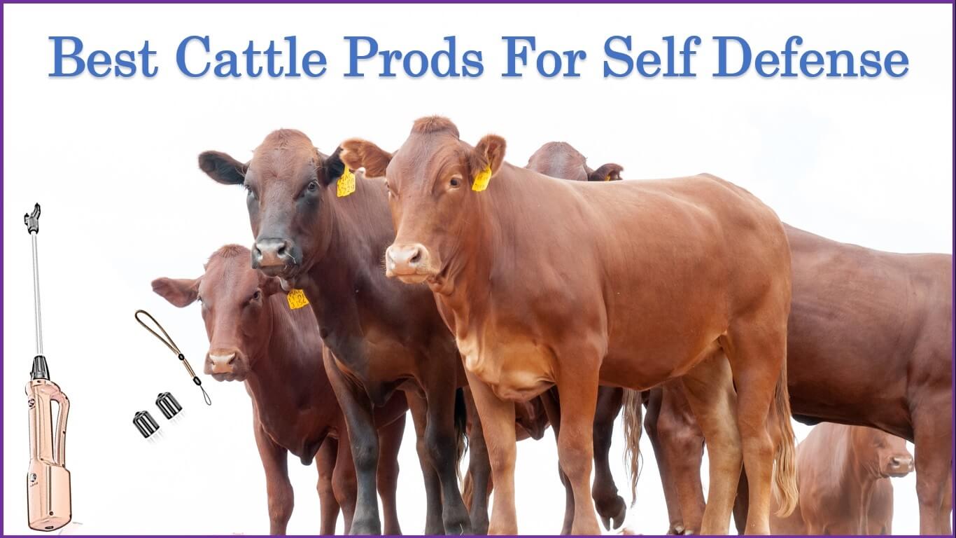 Best Cattle Prods For Self Defense | best electric cattle prod | best cattle prod reviews | strongest cattle prod