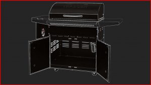Best Traeger Grill for The Money