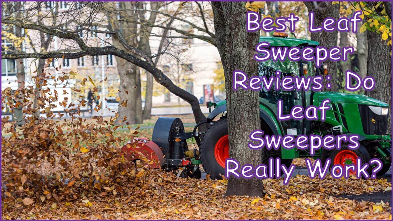 Best Leaf Sweeper Reviews