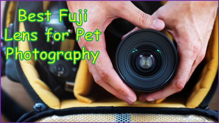 Best Fuji Lens for Pet Photography