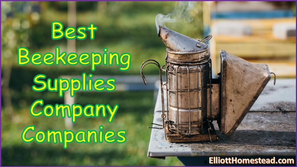 Beekeeping Supplies Company Companies Best Companies 2024