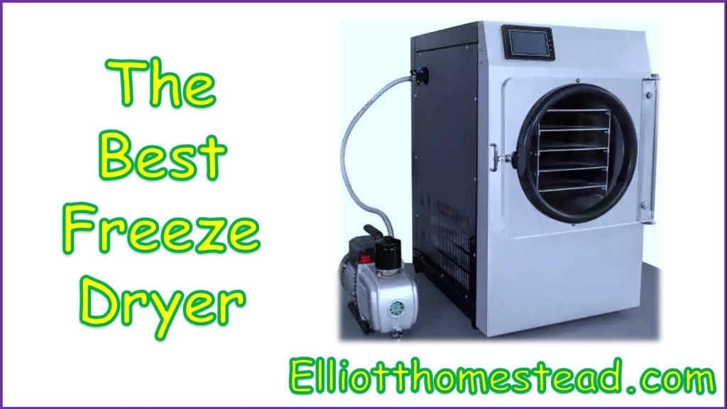 Best Freeze Dryer