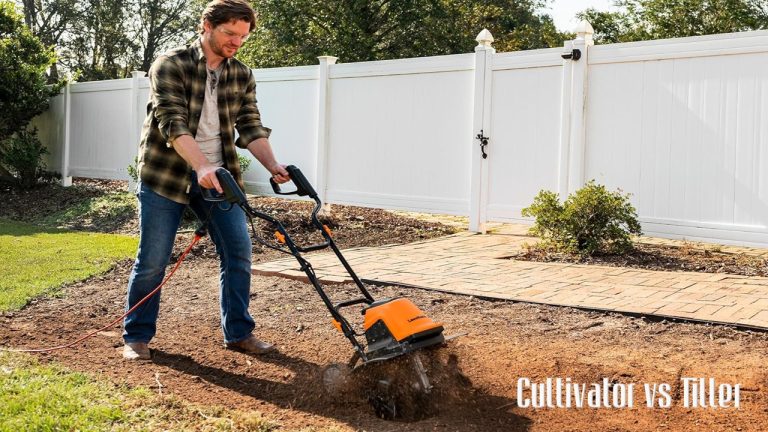 Cultivator vs Tiller